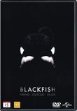 Blackfish
