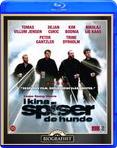 I Kina Spiser De Hunde